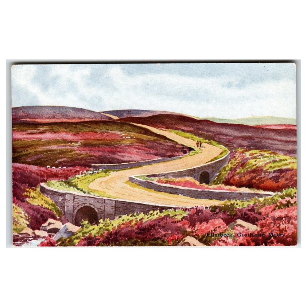 Ellerbeck Goathland Moors Winding Road Heather Sheep UK Postcard